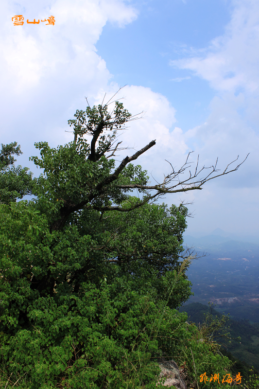 DPP_0123.jpg