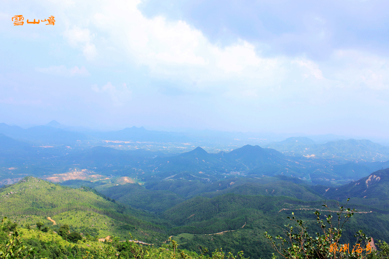 DPP_0134.jpg