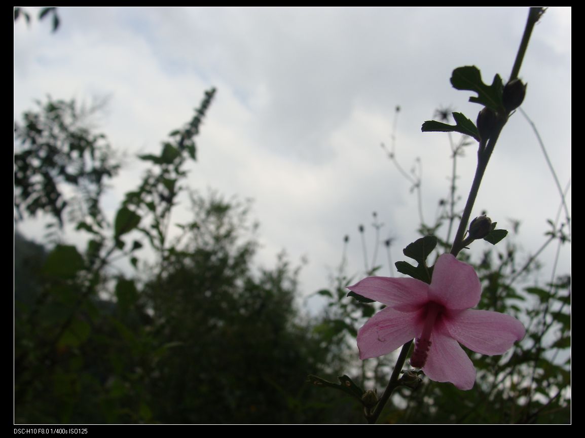 DSC00575.jpg
