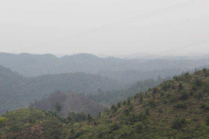 IMG_1133.jpg