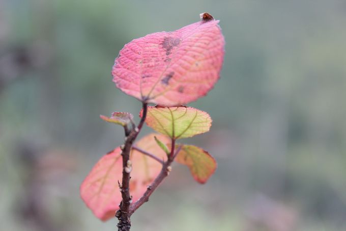 IMG_1153.jpg