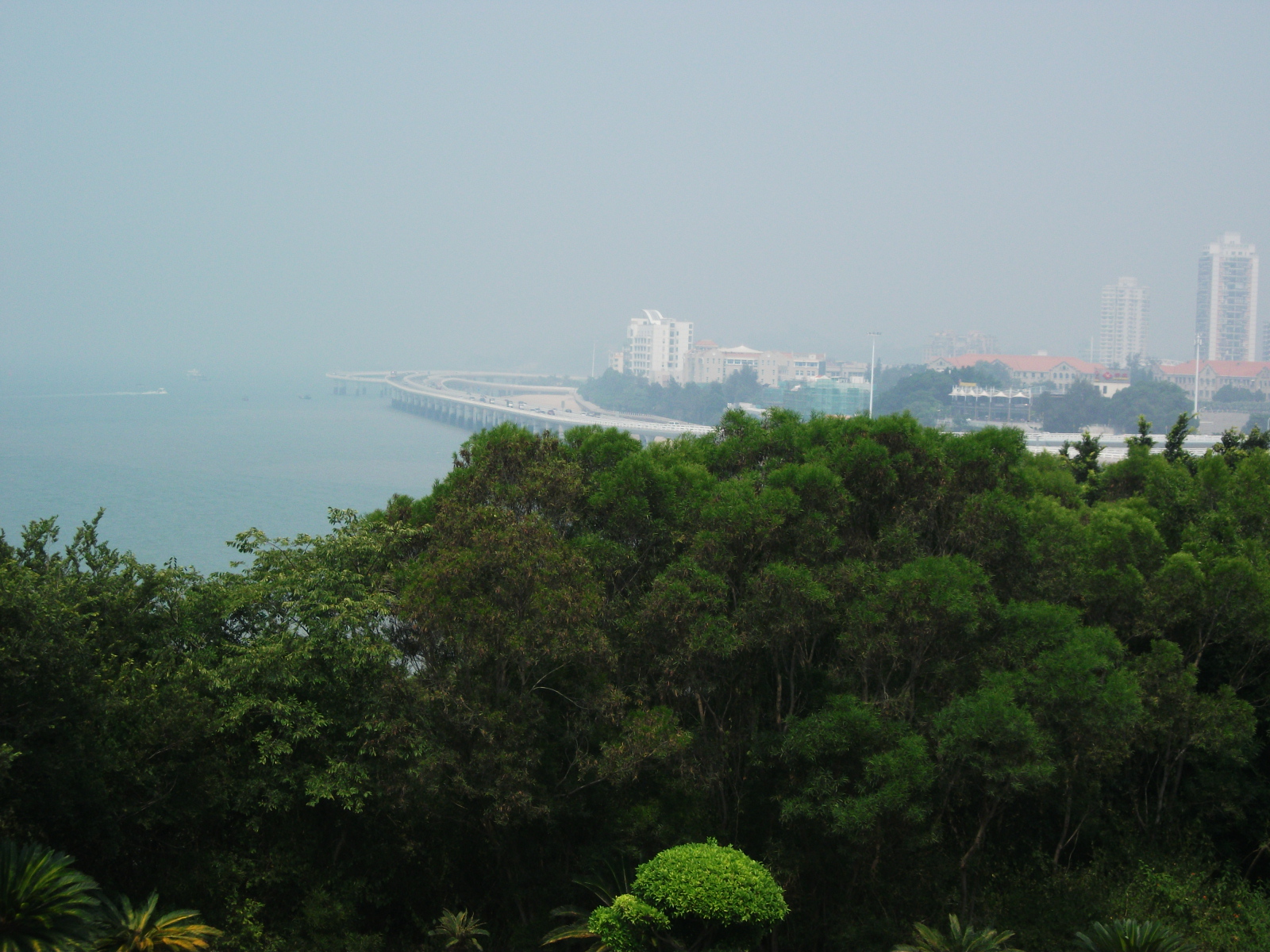 DSCF0816.jpg