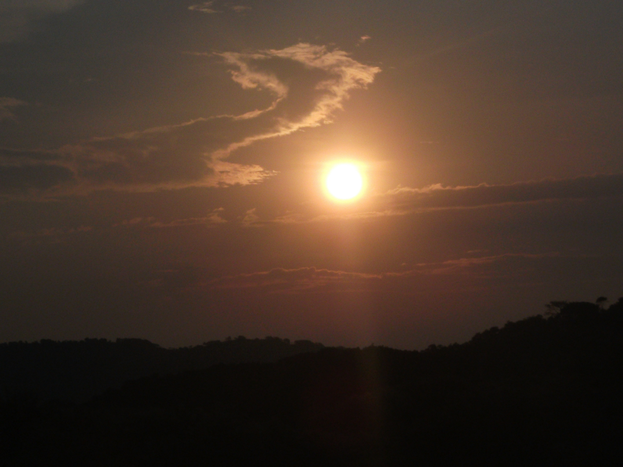 DSCF0936.jpg