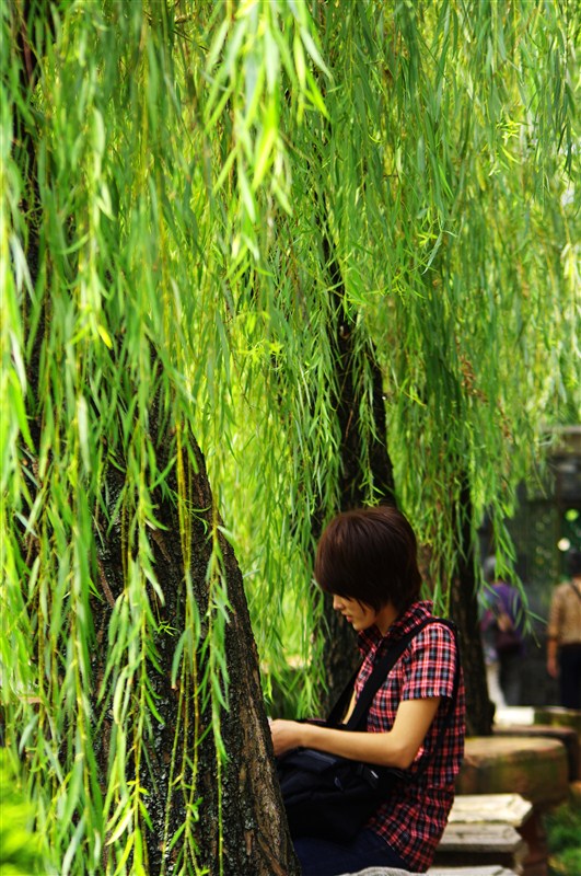 ISO:100 ȦF5.6 ع⣺1/250s ࣺ88mm ͷPENTAX-DAL 55-300mm
