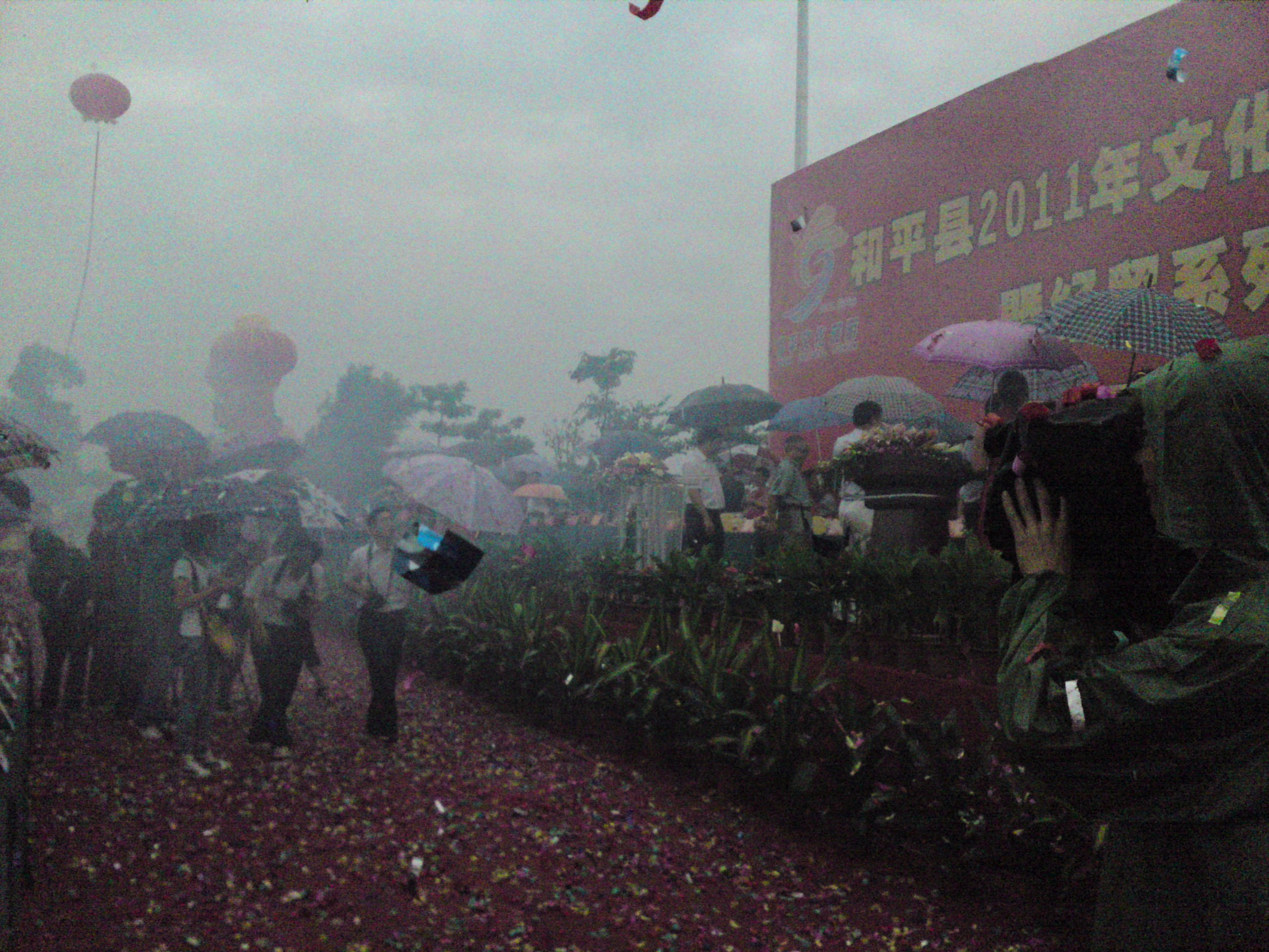 P29-09-11_10.16.JPG