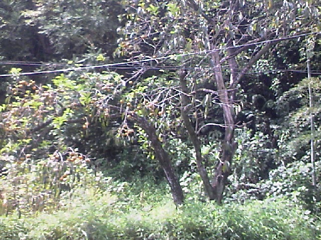 111004A032.jpg