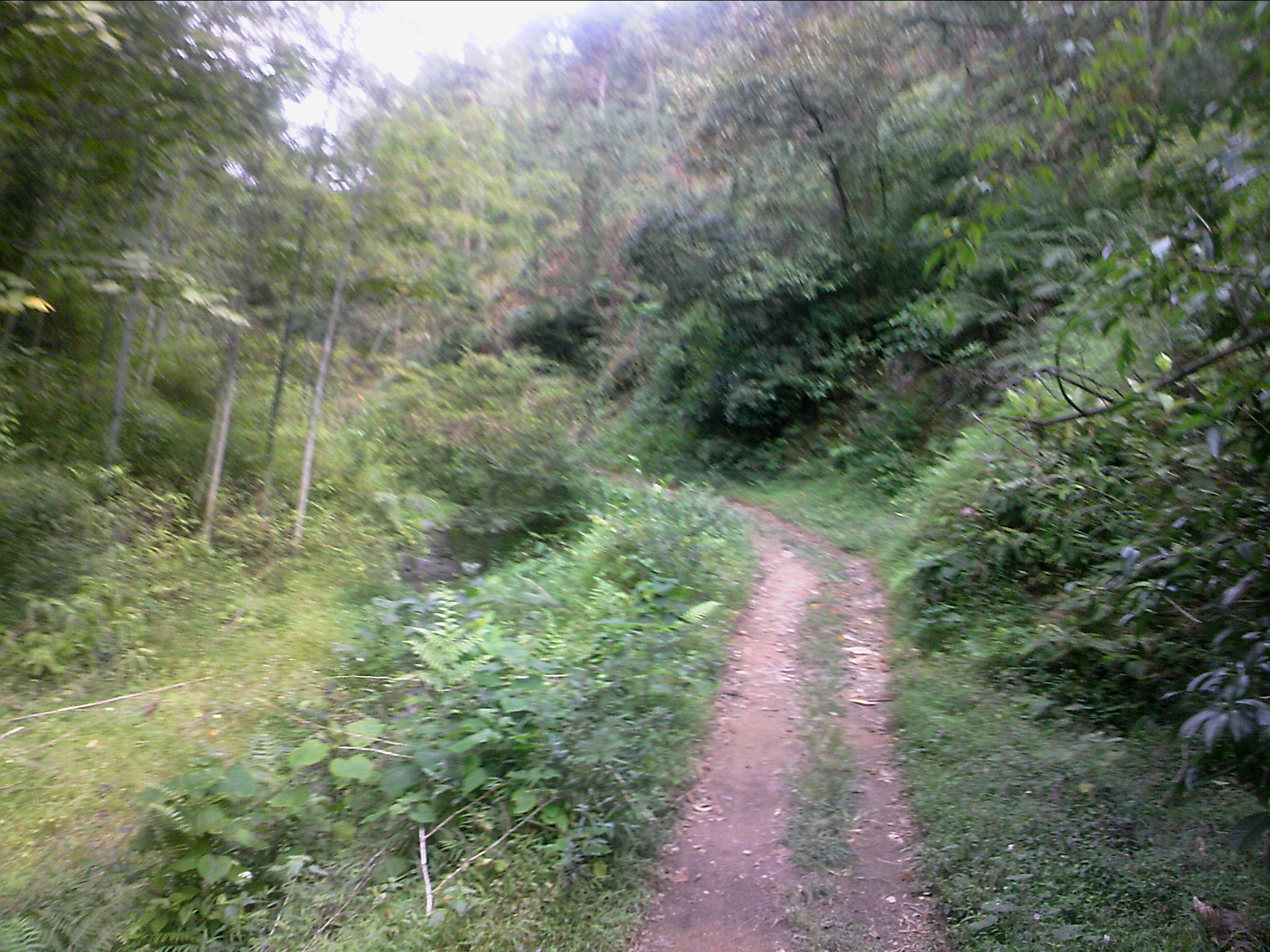 111004A039.jpg