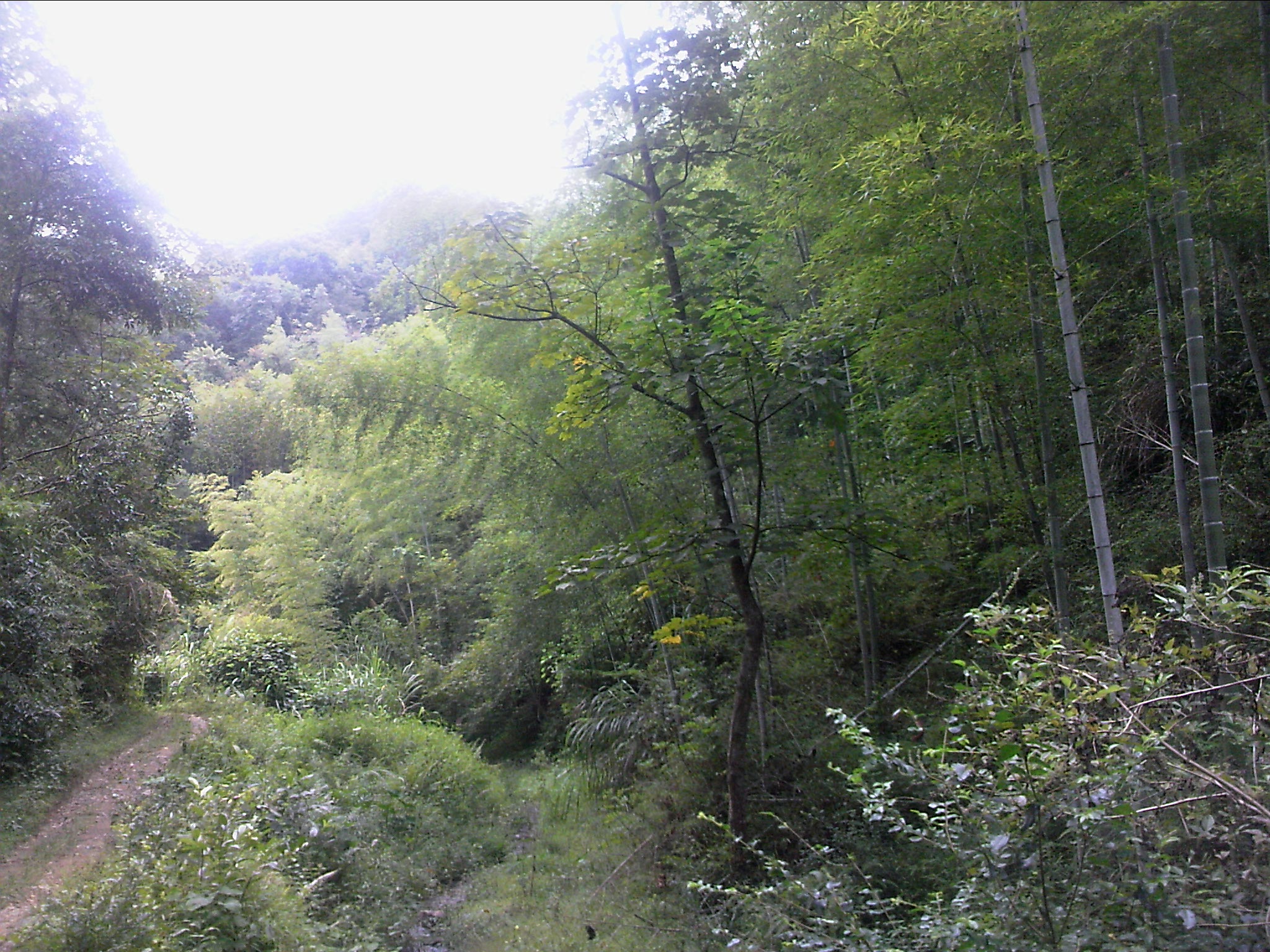 111004A045.jpg