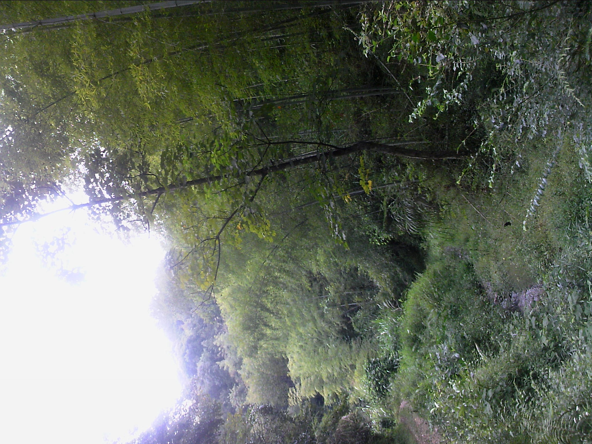 111004A044.jpg