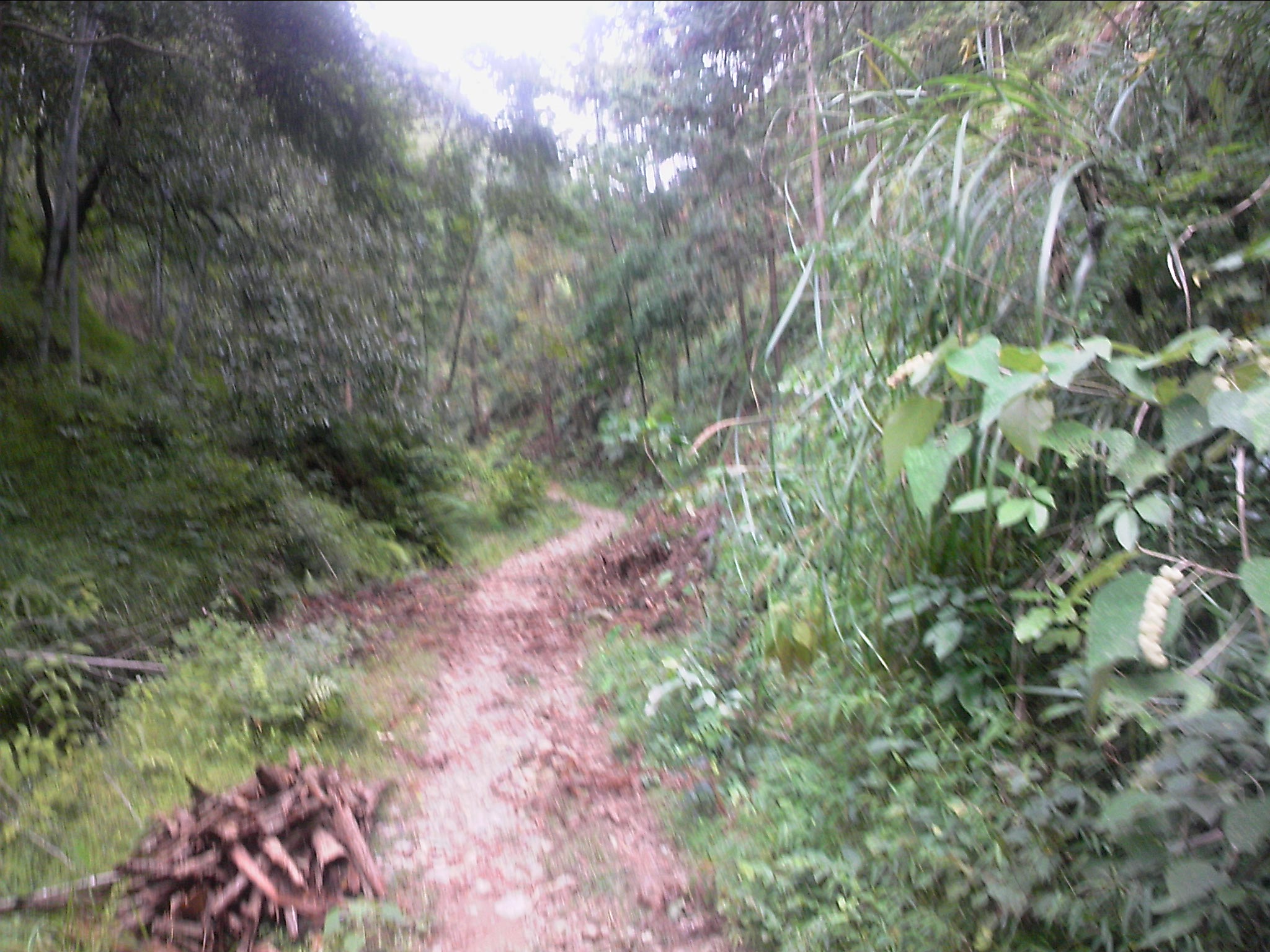 111004A050.jpg