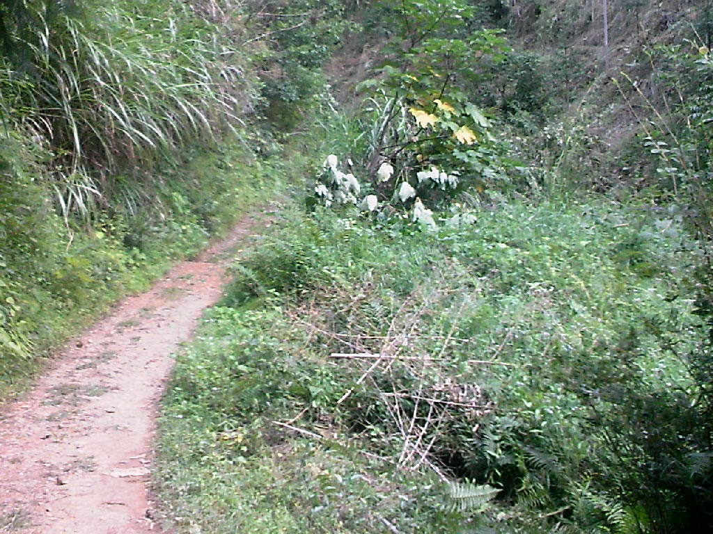 111004A060.jpg