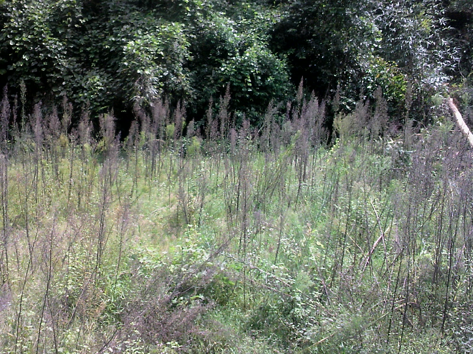 111004A057.jpg