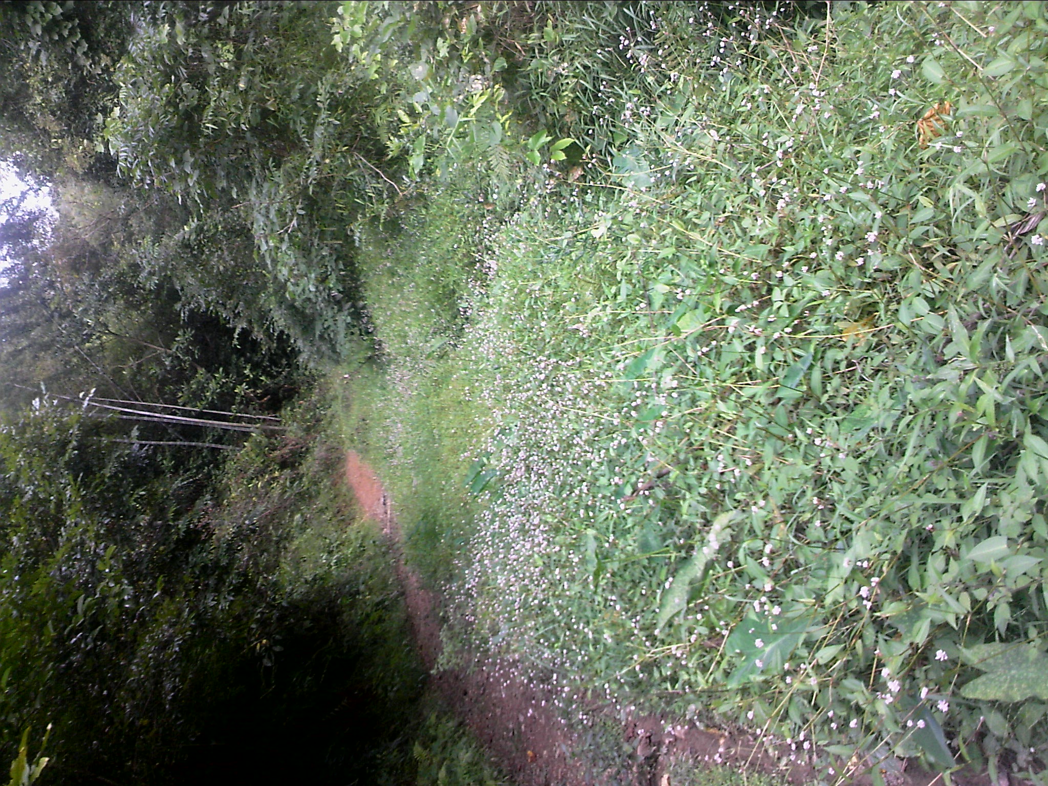 111004A062.jpg