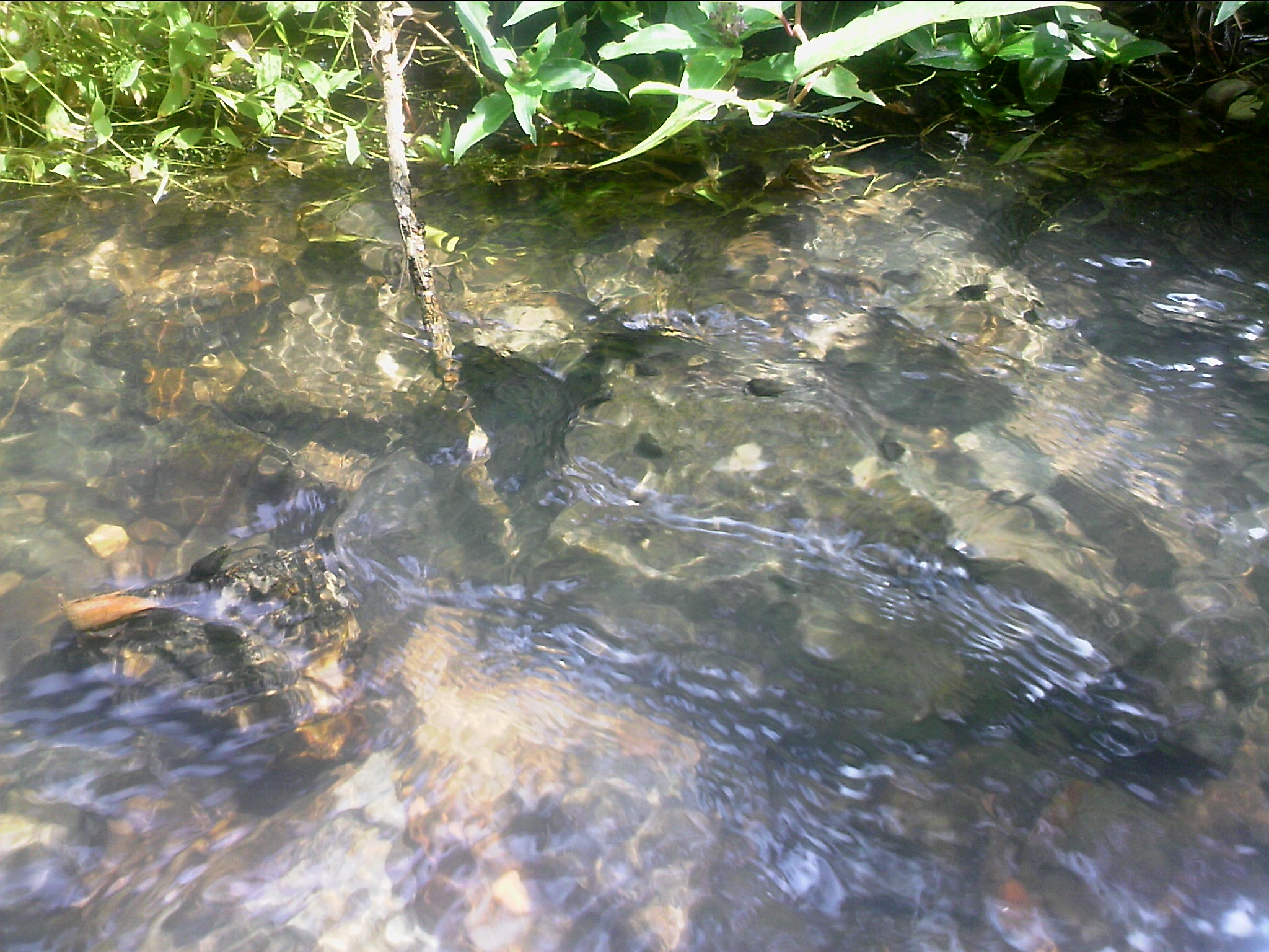 111004A067.jpg