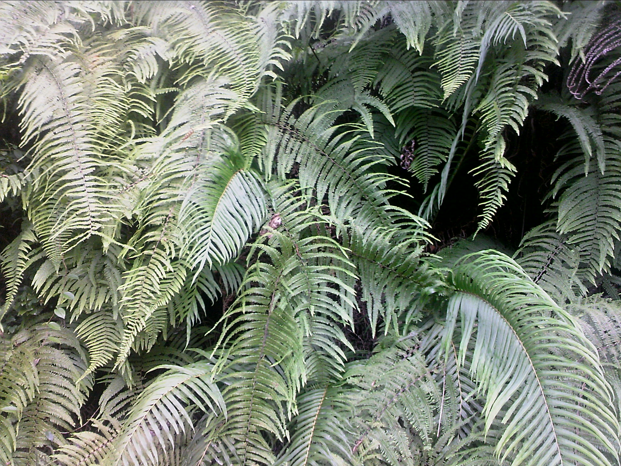 111004A071.jpg