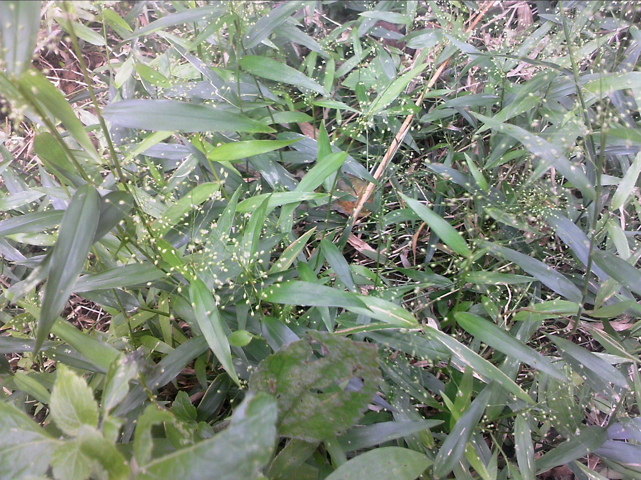 111004A084.jpg