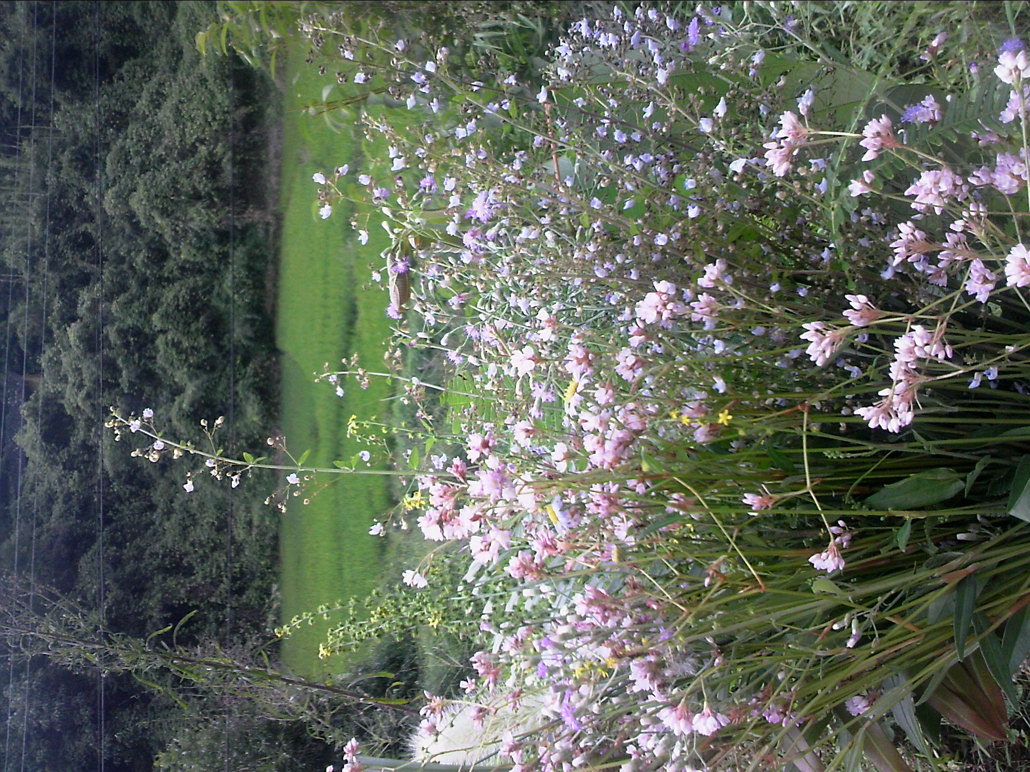 111004A091.jpg