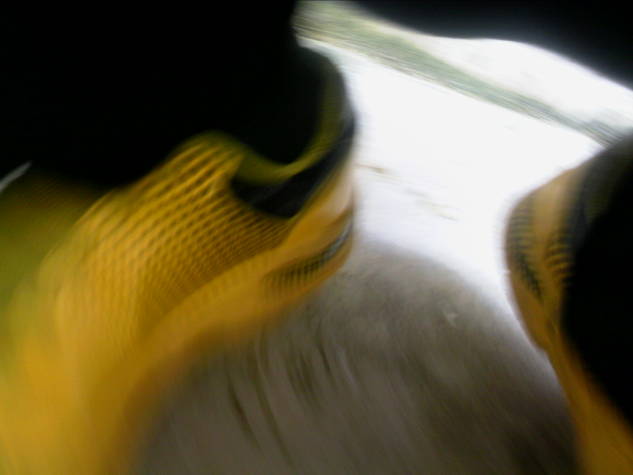 111004A099.jpg