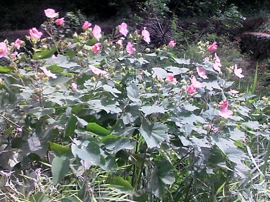 111004A002.jpg