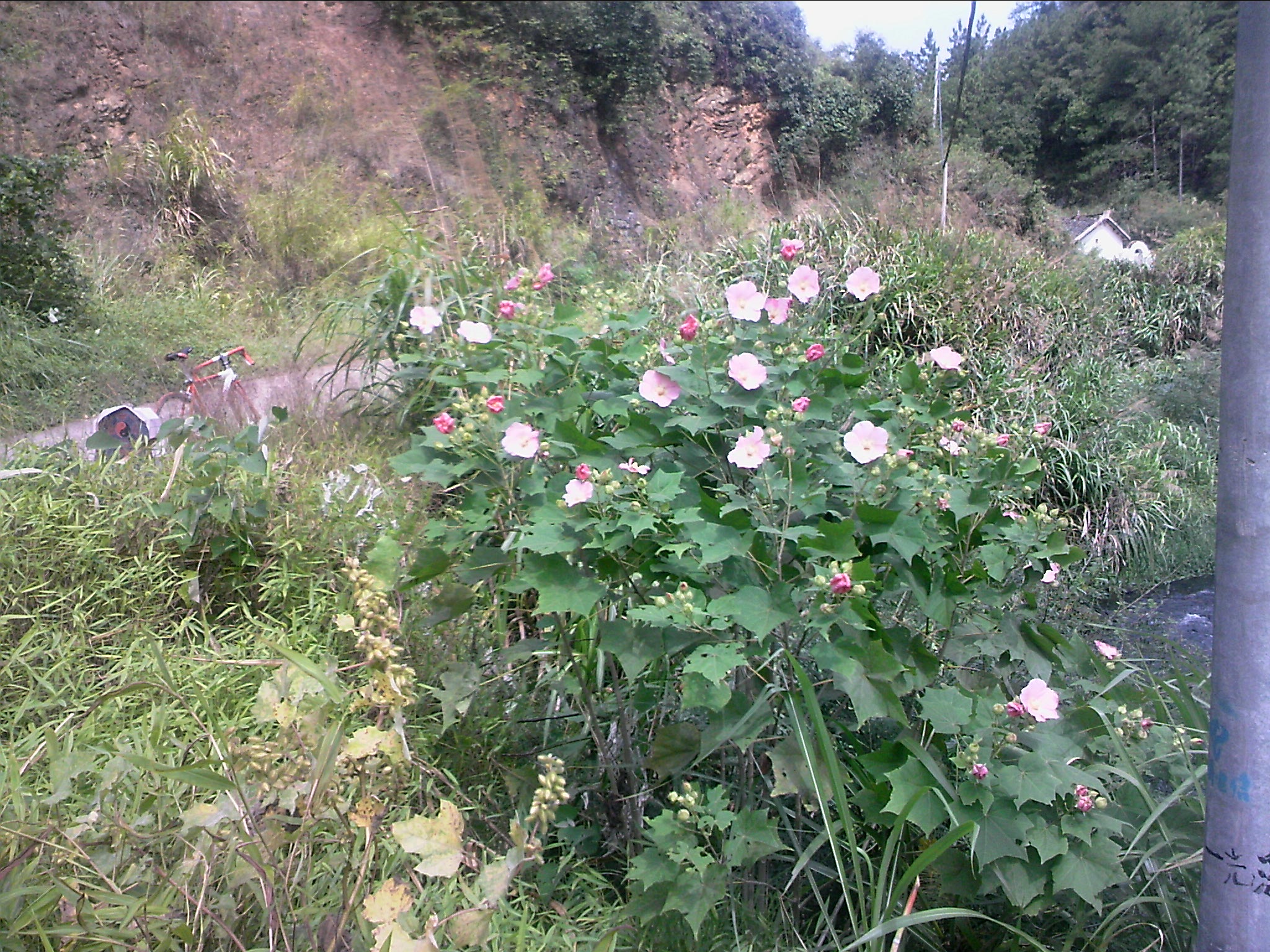 111004A000.jpg