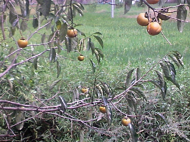111004A012.jpg