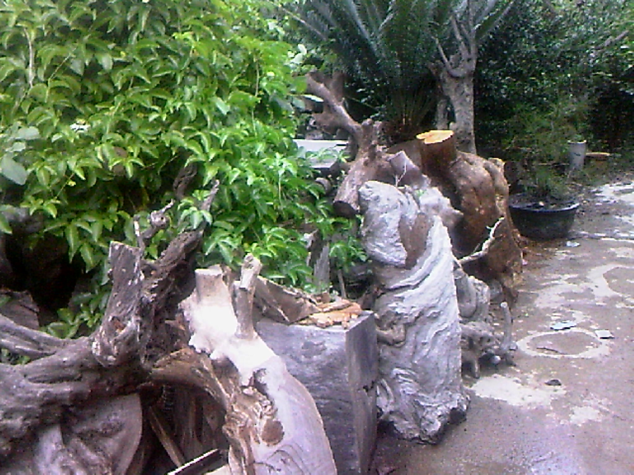 111001A013.jpg