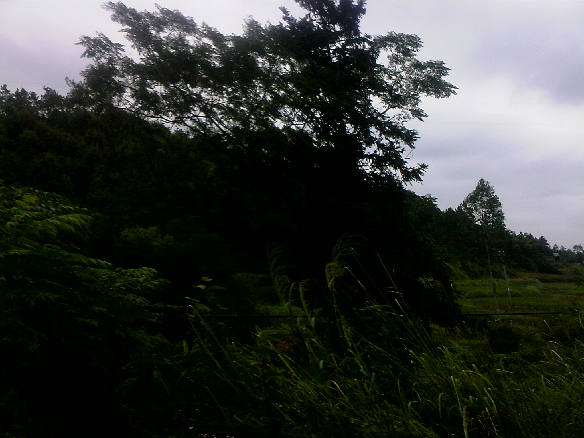 111005A002.jpg
