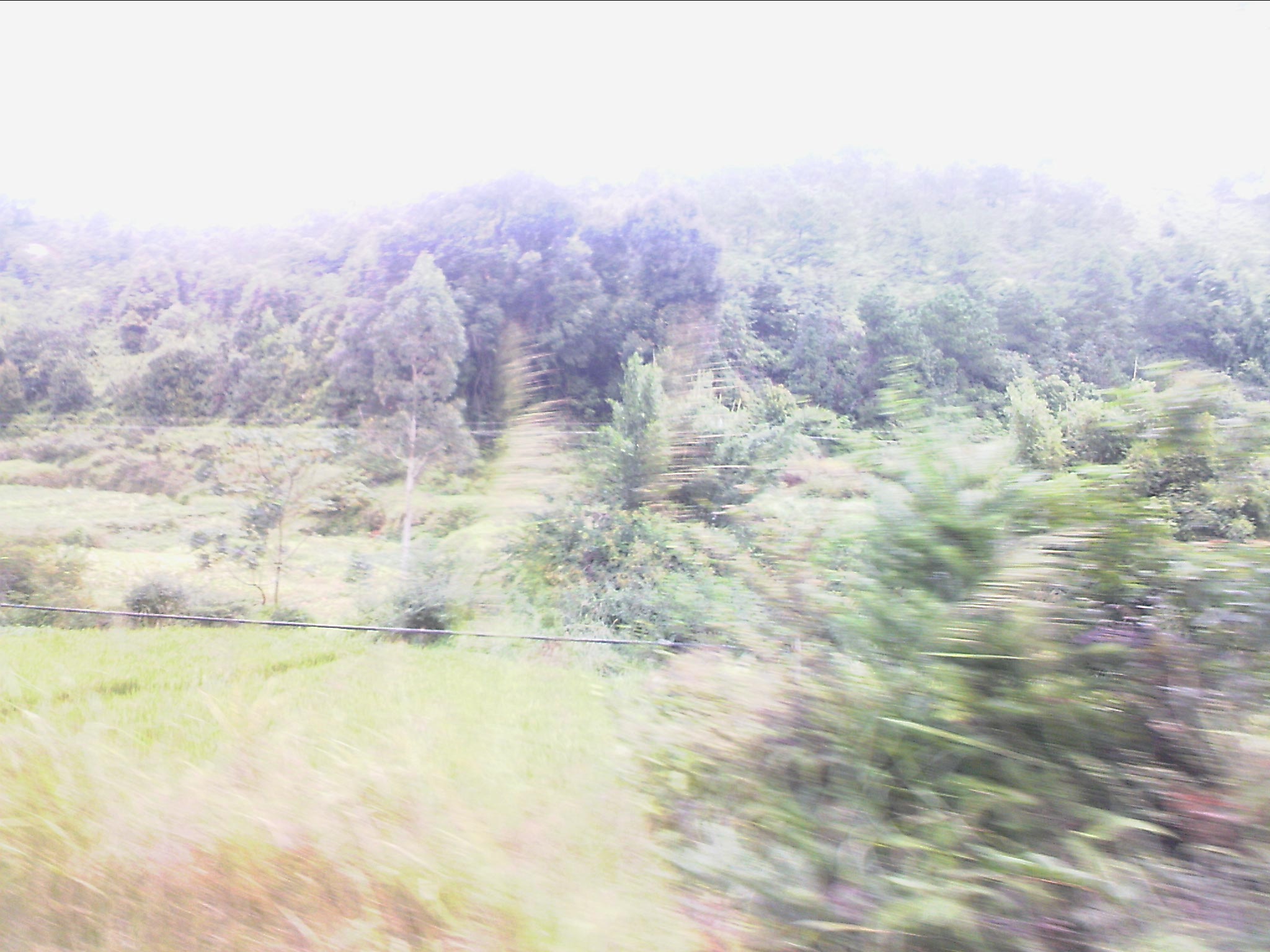 111005A001.jpg