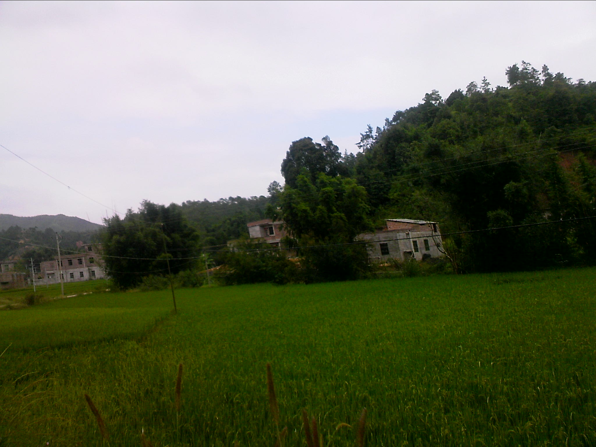 111005A004.jpg