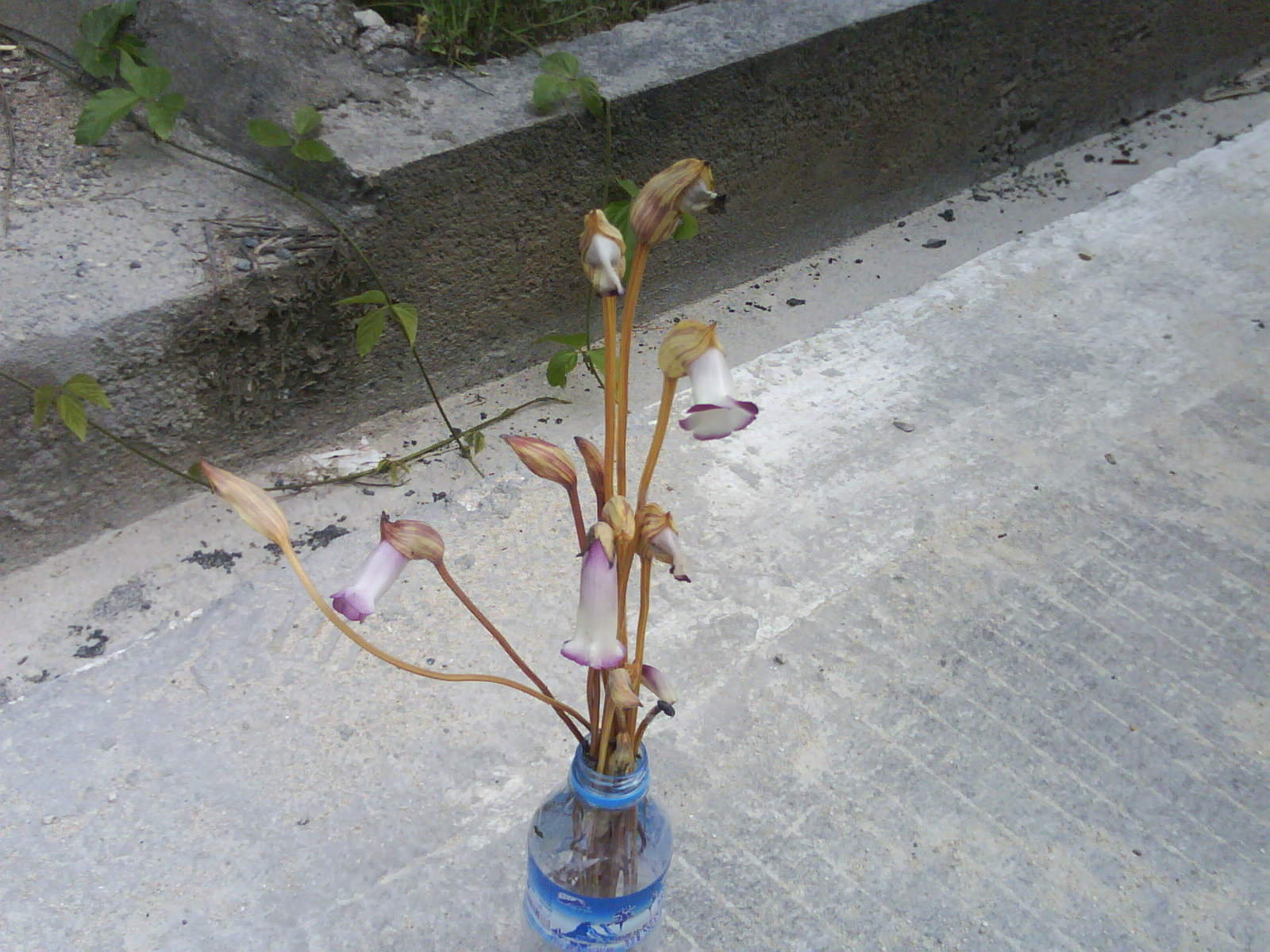 20110914_095222.JPG