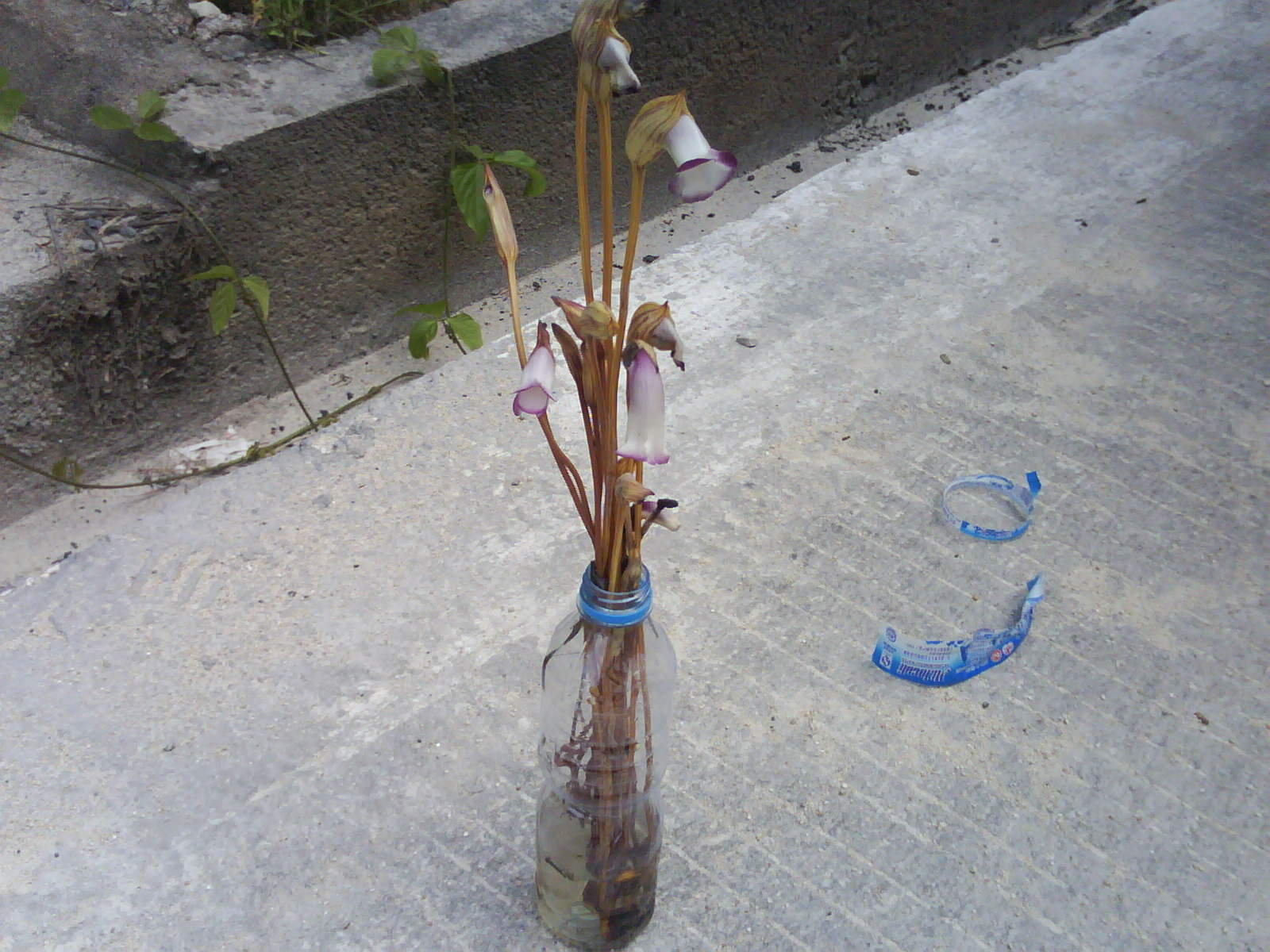 20110914_095333.JPG