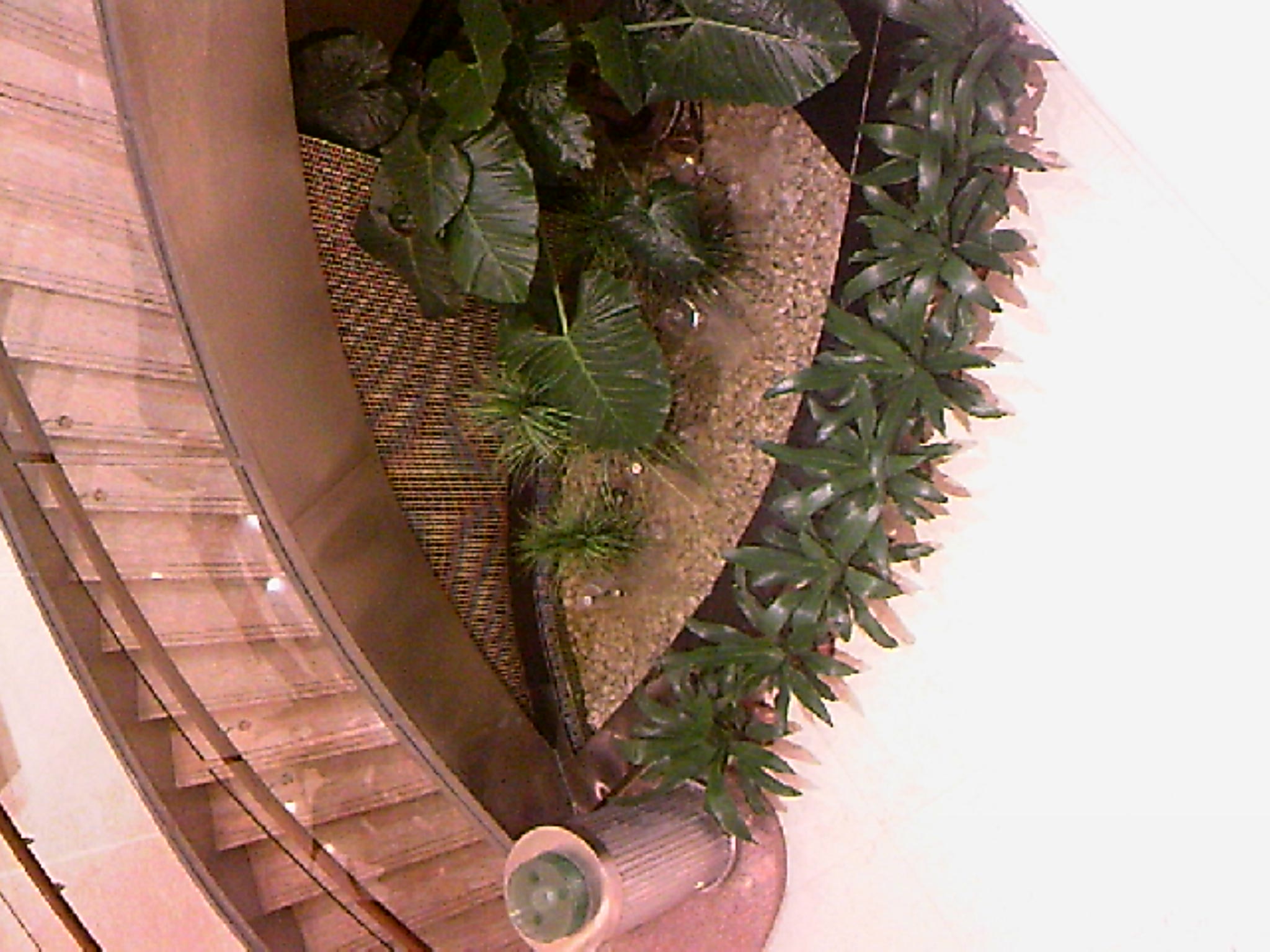 111010A010.jpg