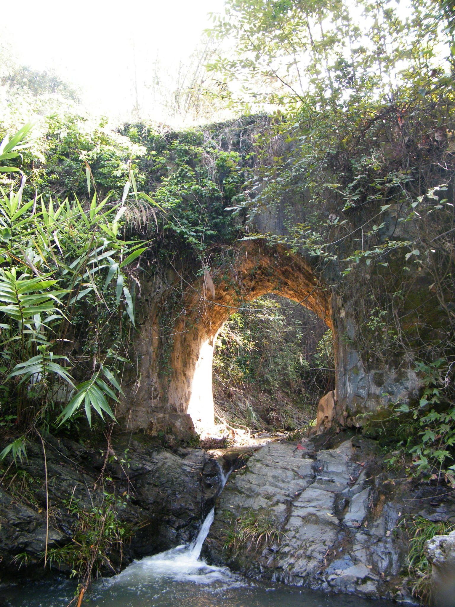 DSCF1937.JPG