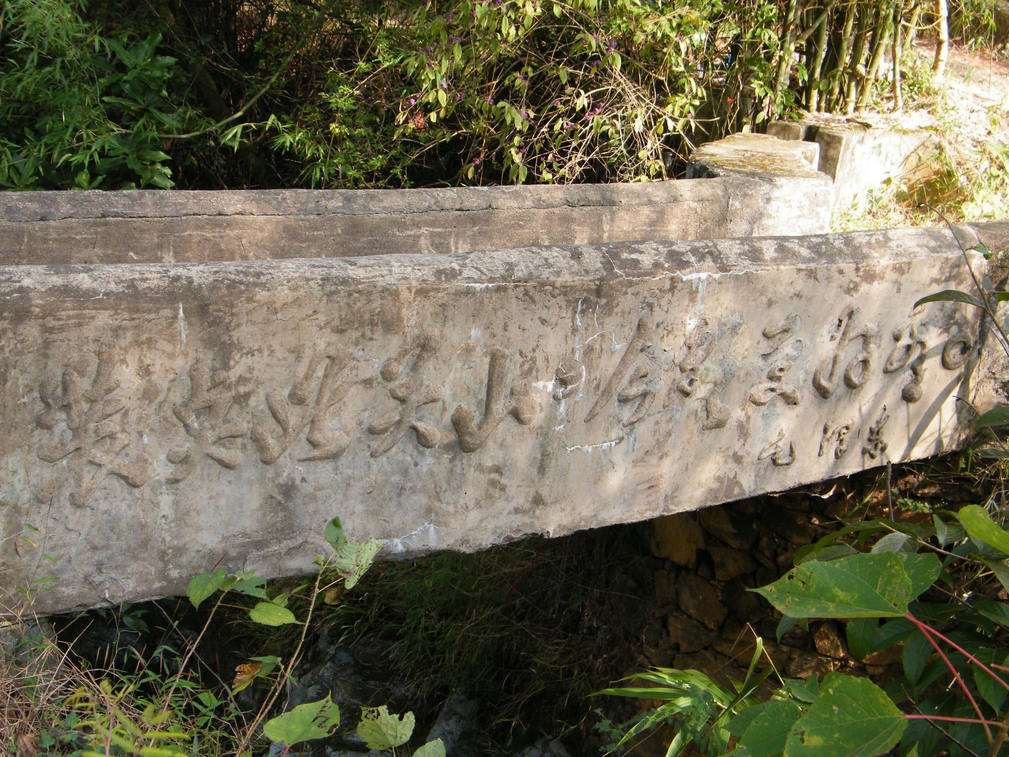 DSCF1918.JPG