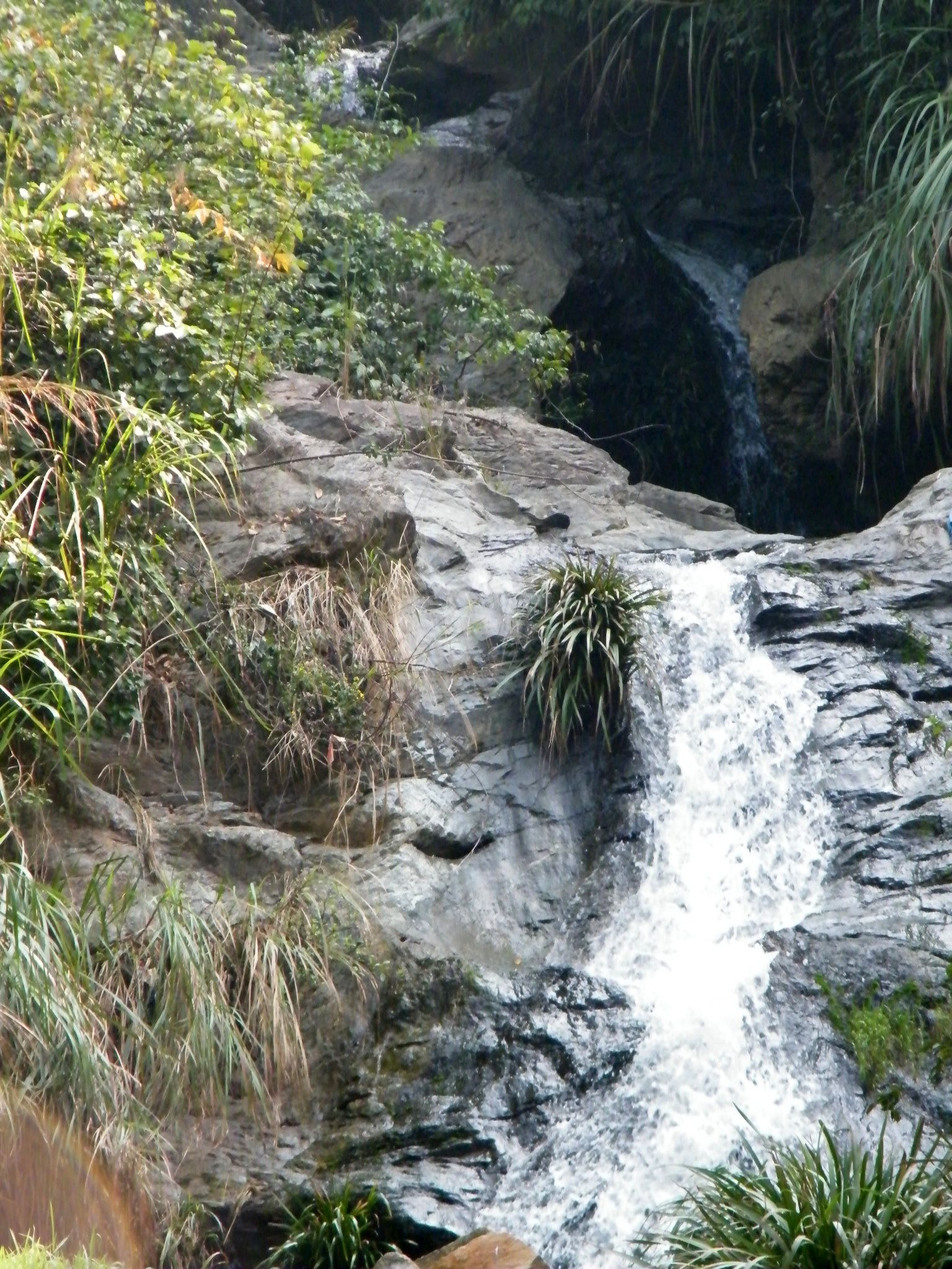 DSCF1930.JPG