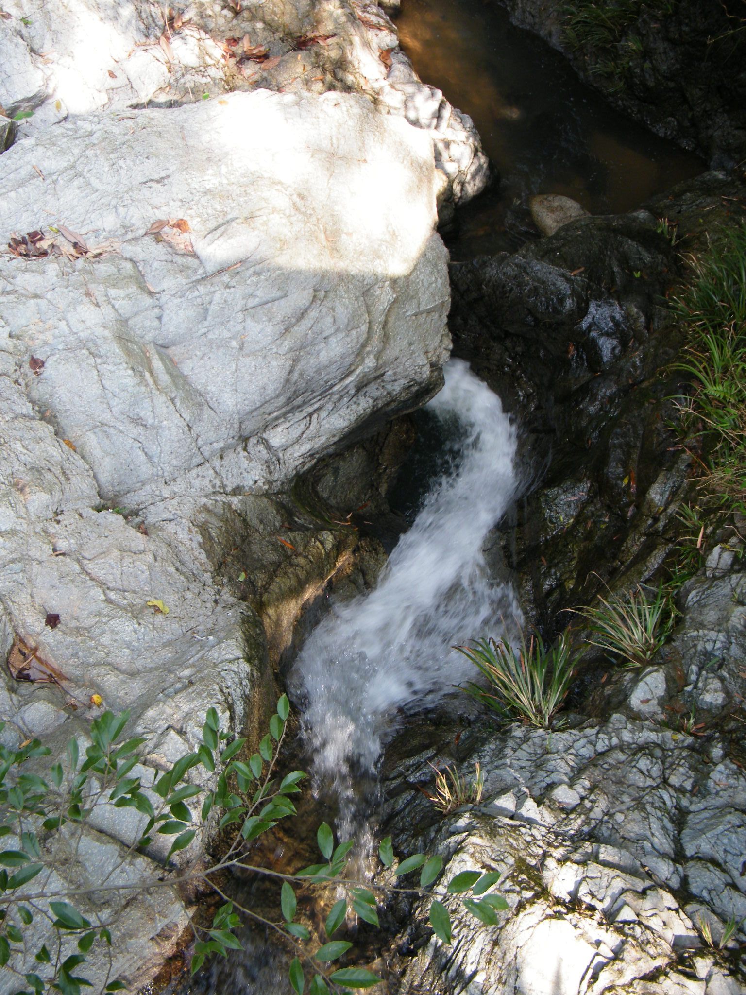 DSCF1919.JPG