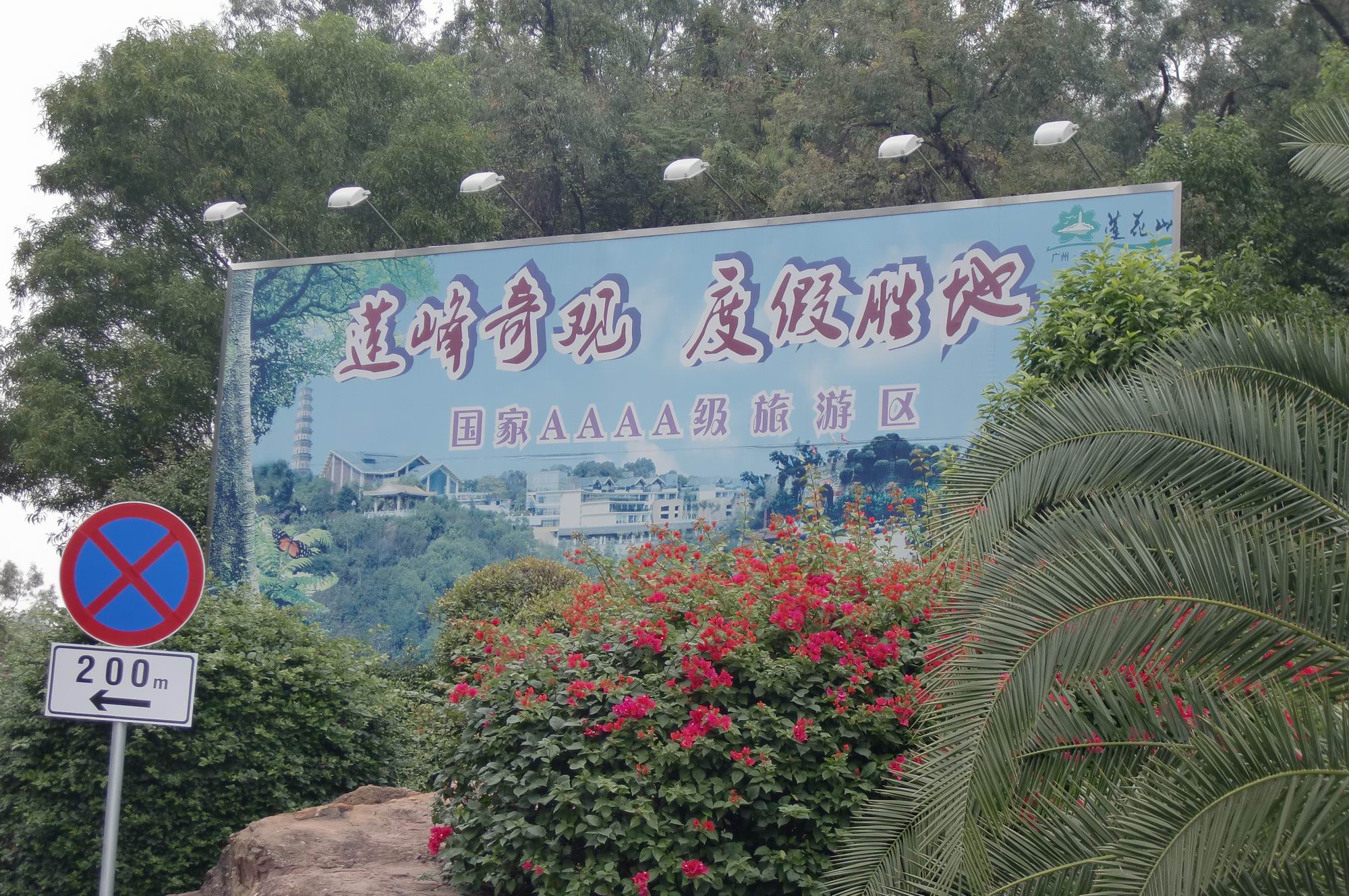 CIMG1748.JPG