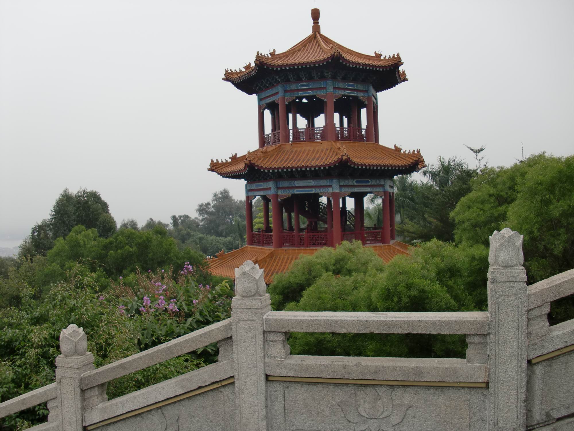 CIMG1809.JPG
