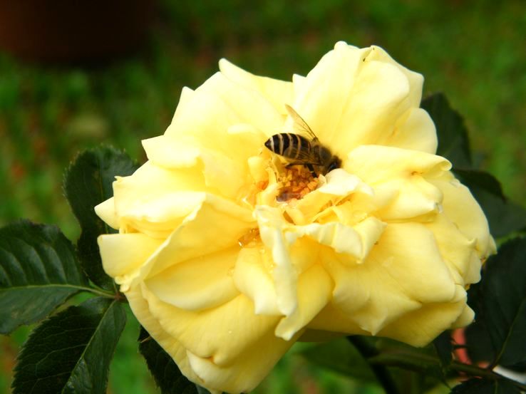 DSCF2287.JPG