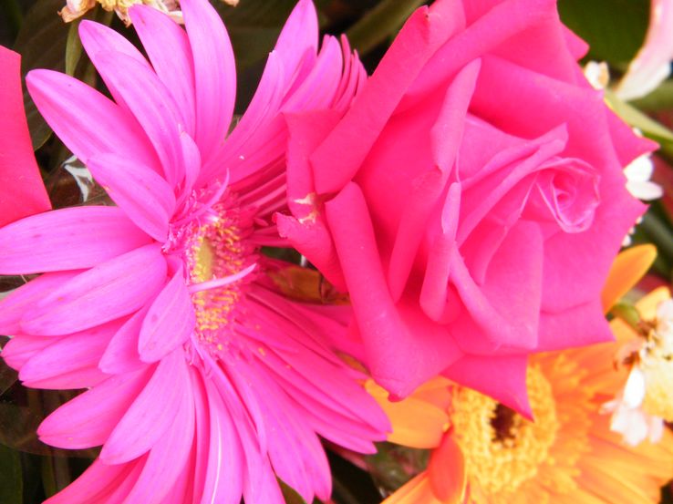 DSCF2312.JPG