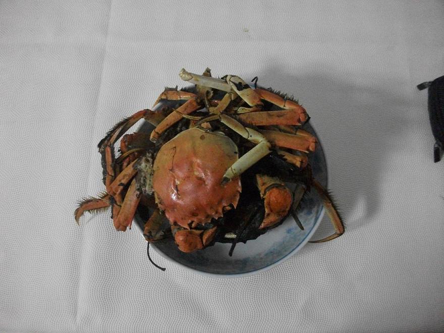 DSCF8258.JPG