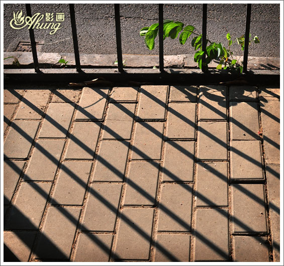 DSC_0205--.jpg