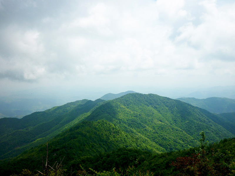 P1050738[1].JPG