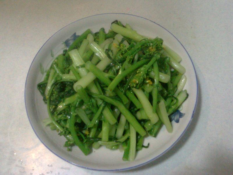 Ƭ0221.jpg