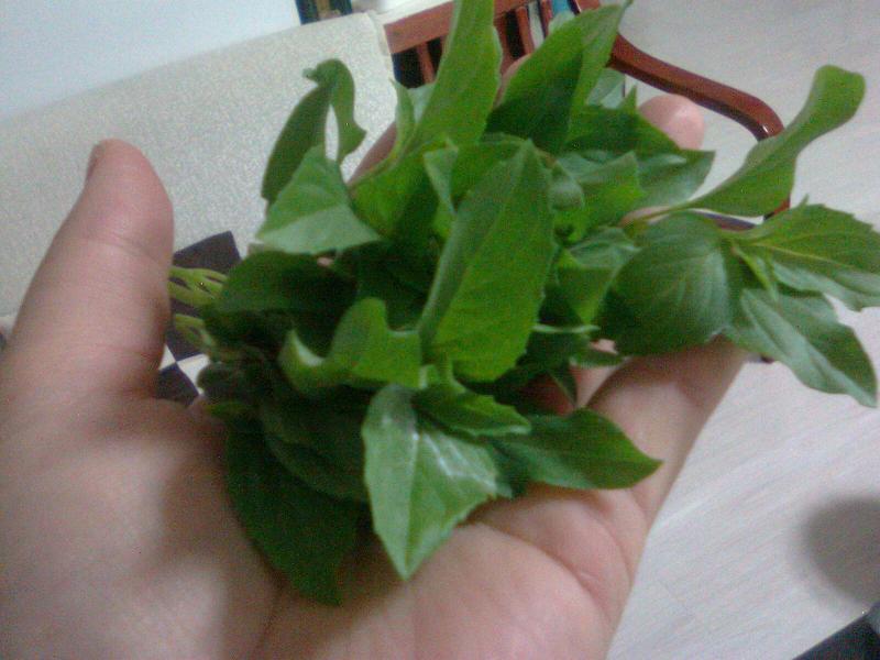 Ƭ0219.jpg