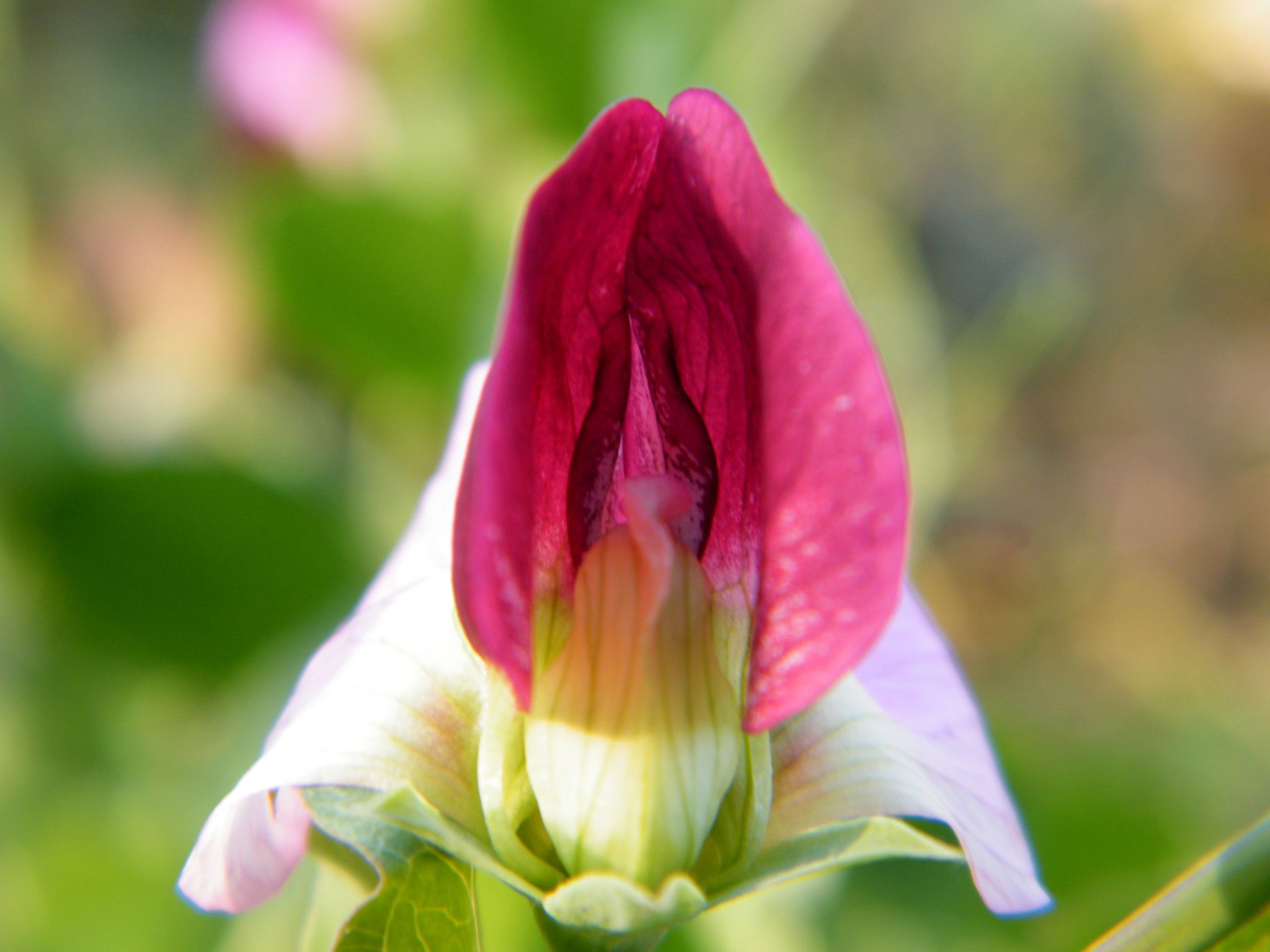 DSCF3098.JPG