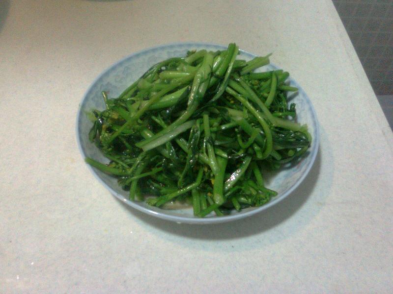 Ƭ0226.jpg
